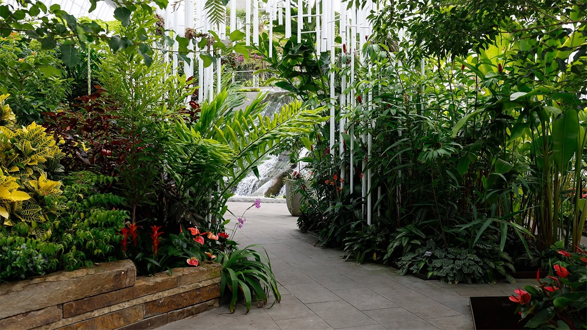 Myriad Botanical Gardens
