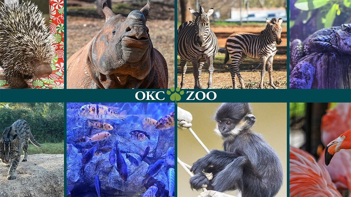 Oklahoma City Zoo