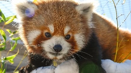 Oklahoma City Zoo
